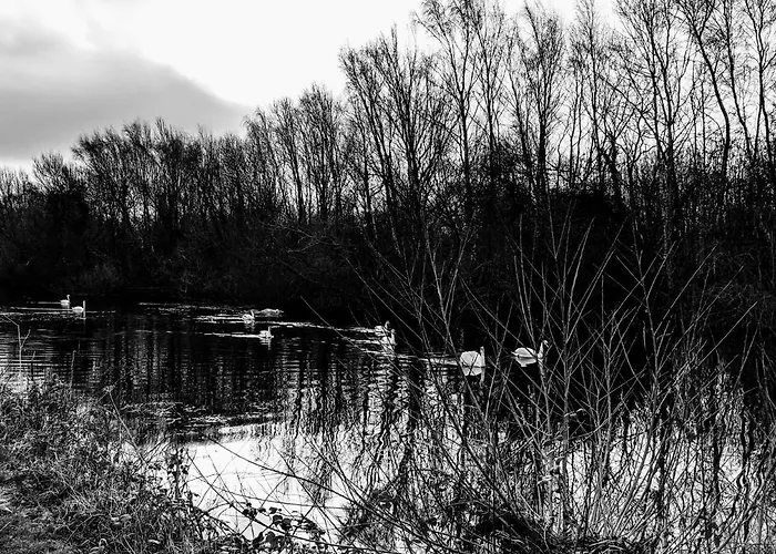 Moss Tarn
