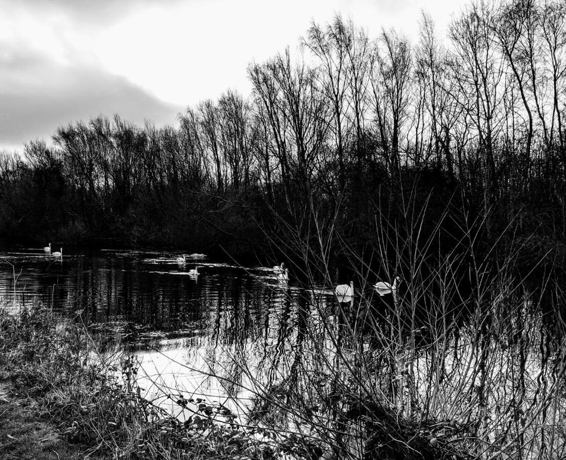 Holiday home Moss Tarn *